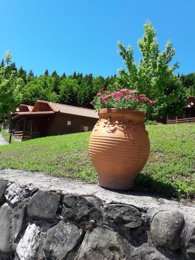 Livadaki Village Megali Kapsi Eksteriør billede